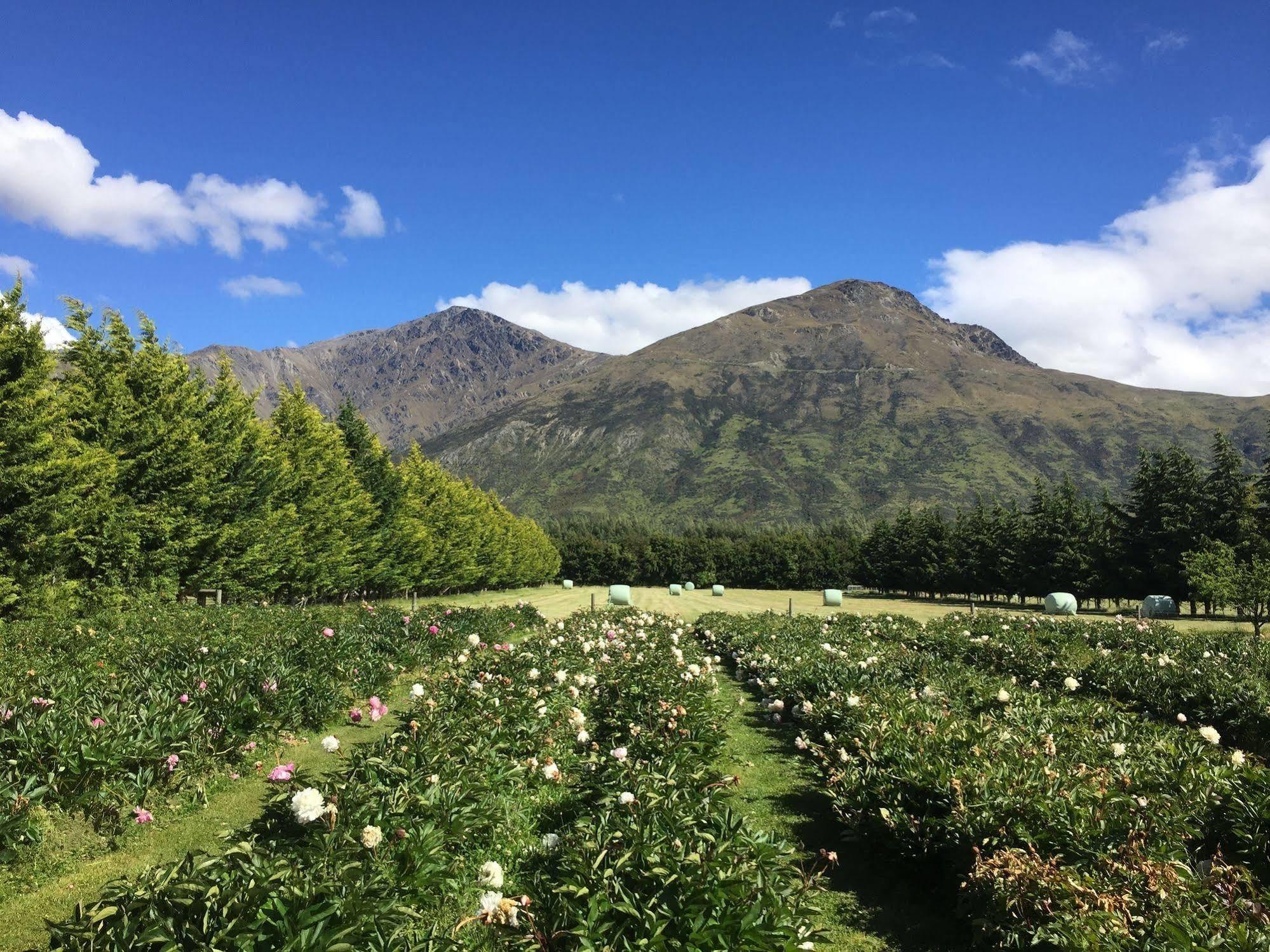 Queenstown Country Lodge Lake Hayes ภายนอก รูปภาพ